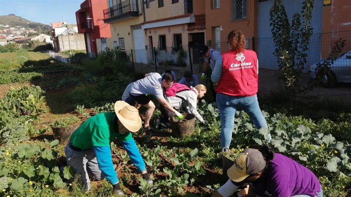 Cáritas Diocesana de Tenerife ha clausurado este mediodía su proyecto 'Semillas de Algazara'
