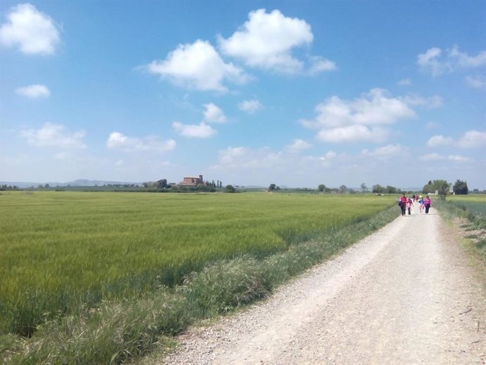 Archivo - Corredor verde de Huesca a su paso por Loreto