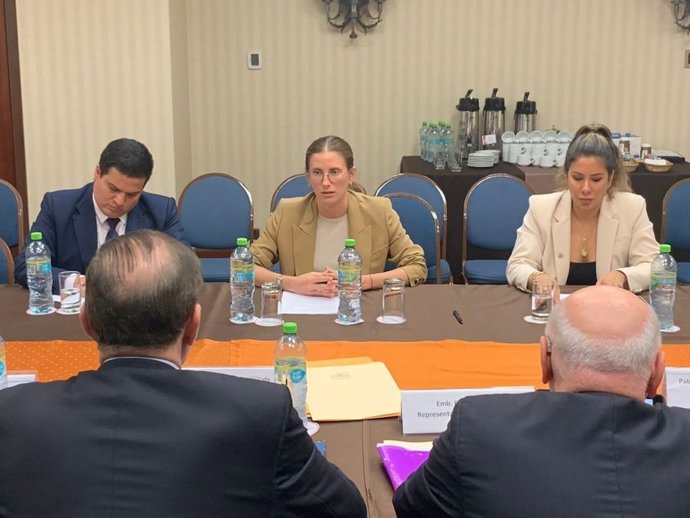 Miembros de Avanza País reunidos con la OEA