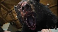 Salvaje tráiler de Oso vicioso: Una bestia hasta arriba de cocaína en una película demencial basada en hechos reales