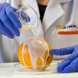 Archivo - Proyecto de Aimplas