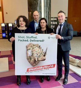 Dr Jo Swabe from HSI/Europe with Ana Miranda and her assistants from the Greens/EFA in the European Parliament