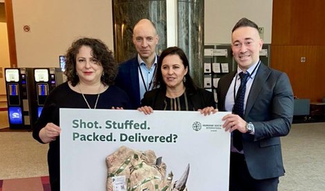 Comunicados Internacional