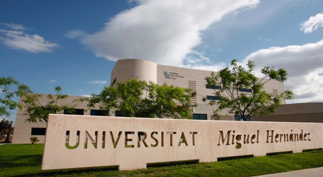 Archivo - Campus de la UMH.