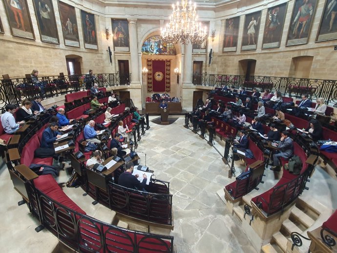 Pleno de las Juntas Generales de Bizkaia