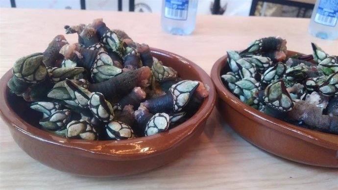 Archivo - Percebes