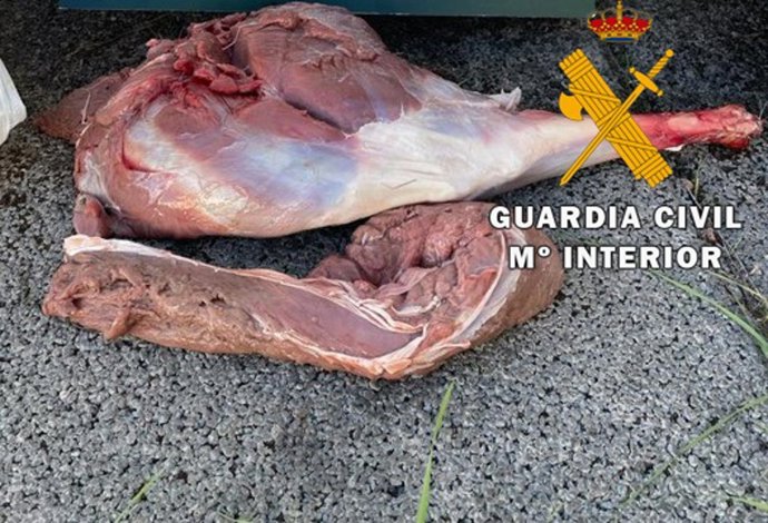 Piezas de carne intervenidas