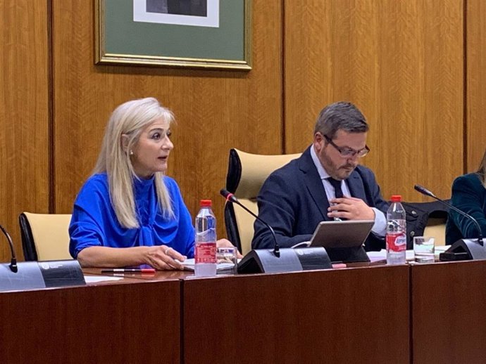 La consejera de Desarrollo y Formación Profesional, Patricia del Pozo, en comisión parlamentaria