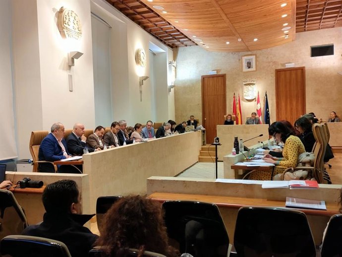 Imagen de la celebración del pleno del Ayuntamiento de Salamanca.