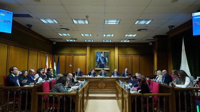 Pleno de la Diputación de Almería.