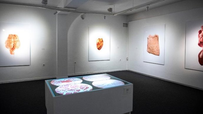 Se abre 'MEAT00' de Peck Bruyel, el tercer proyecto de profesionalización de la XXXVII Muestra de Arte Joven de La Rioja