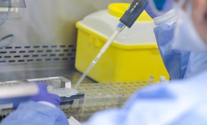 Archivo - Un estudio del Hospital Gregorio Marañón (Madrid)  avala la recogida de múltiples muestras para detectar mejor la viruela del mono