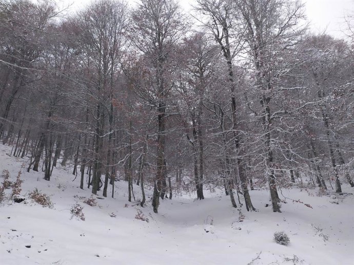 Archivo - Nevada en el paraje de Castejón en Nieva de Cameros (La Rioja)