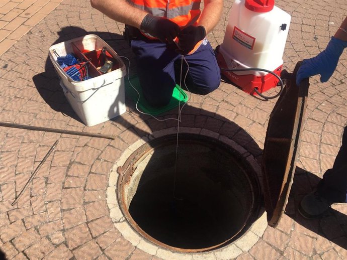 Archivo - Desratización, en una fotografía de archivo