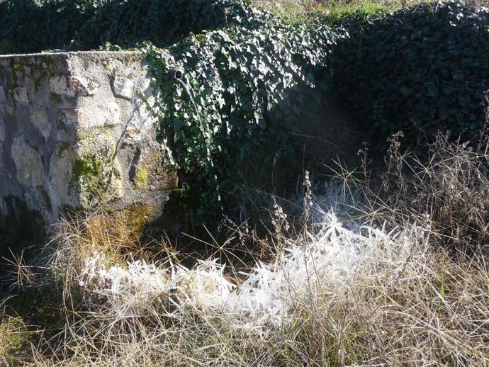 Archivo - Helada nocturna