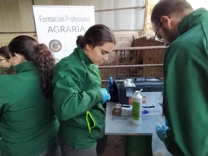 La red nacional de Centros de Excelencia de FP reconoce a tres centros andaluces de Jaén, Granada y Córdoba