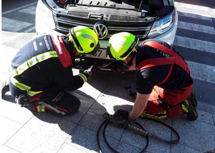 Servicios de emergencia rescatan un águila real tras ser atropellada.