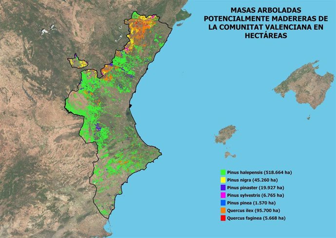 Mapa de las masas potencialmente madereras de la Comunitat Valenciana obtenido por el proyecto 'Woodforest Satelite' de Aidimme, que empleará herramientas de teledetección para favorecer la gestión y explotación sostenible de los montes