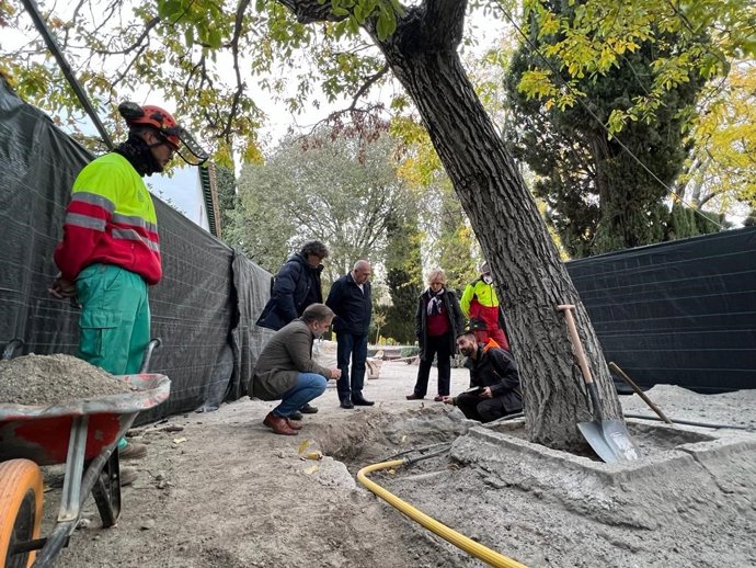 Aplican en Granada un método novedoso de inyección de aire a alta presión para salvar un histórico nogal de San Vicente.