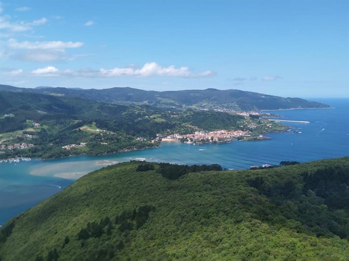 Archivo - Urdaibai (Bizkaia) 