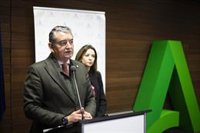 Sanz ve Andalucía "más fuerte y unida" tras el primer Día de la Bandera: "Buscar la confrontación por el 4D es un error"
