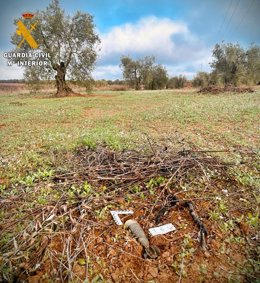 Granada encontrada en Almendralejo