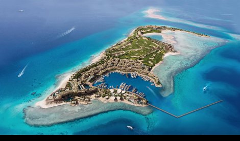 Comunicados Internacional