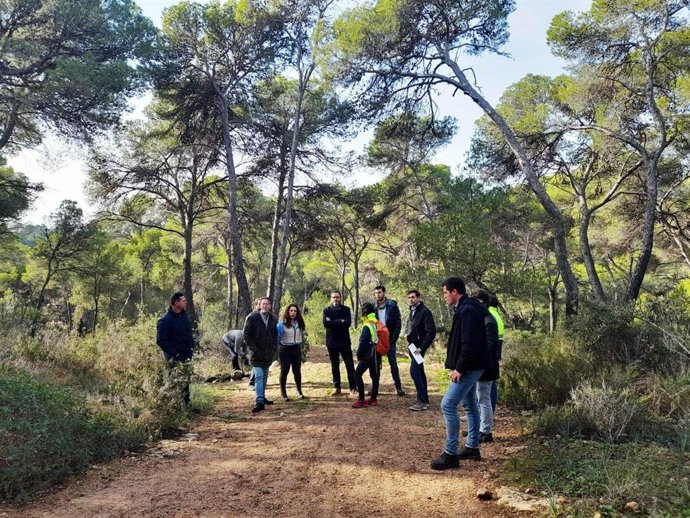El alcalde de Palma, José Hila, y otros miembros del equipo de gobierno municipal visitan el bosque de Bellver.