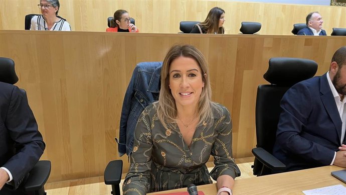 La viceportavoz del PSOE en la Diputación de Málaga, Toñi García.