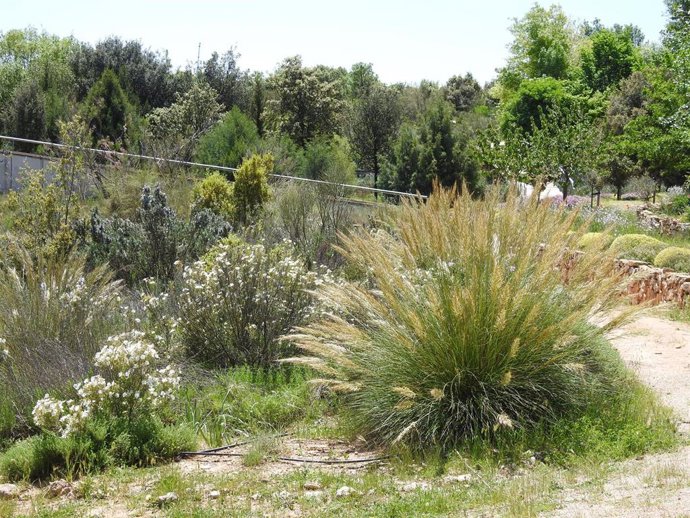 El patronato de la Fundación del Jardín Botánico de Castilla-La Mancha ha aprobado el presupuesto para el ejercicio 2023