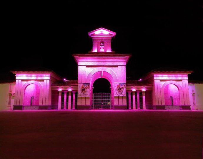 El Ayuntamiento de Albacete ha concluido los trabajos de mejora de la eficiencia energética de las instalaciones de alumbrado exterior de diversos edificios municipales