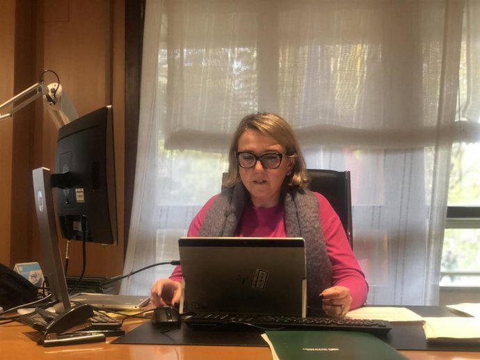 La consejera de Agricultura, Ganadería, Mundo Rural, Territorio y Población, Eva Hita, ha participado hoy en la reunión del Consejo Consultivo de Política Agrícola para Asuntos Comunitarios