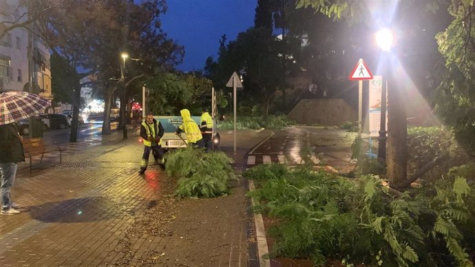 Una treintena de incidencias por lluvia y viento, sobre todo en Marbella, con una herida leve.
