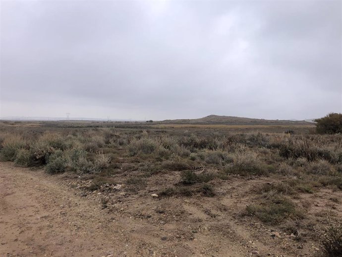 Amigos de la Tierra La Rioja rechaza el cambio de uso de 80 hectáreas en Alfaro