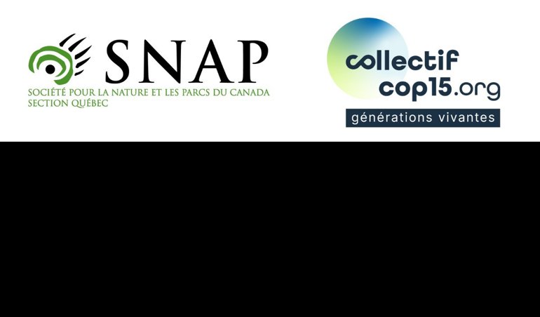 Comunicados Internacional