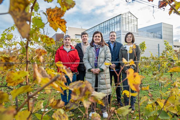 Desarrollan aplicaciones de tecnologías no invasivas para monitorizar en tiempo real el estado hídrico del viñedo