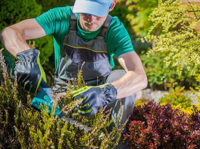 La jardinería va ganando terreno como un hobbie perfecto para urbanitas