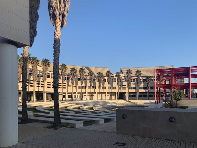 Archivo - Campus de la Universidad de Alicante