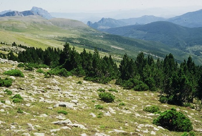 Una De Las Poblaciones De Los Pirineos En Ordensa Estudiada En Este Artículo.