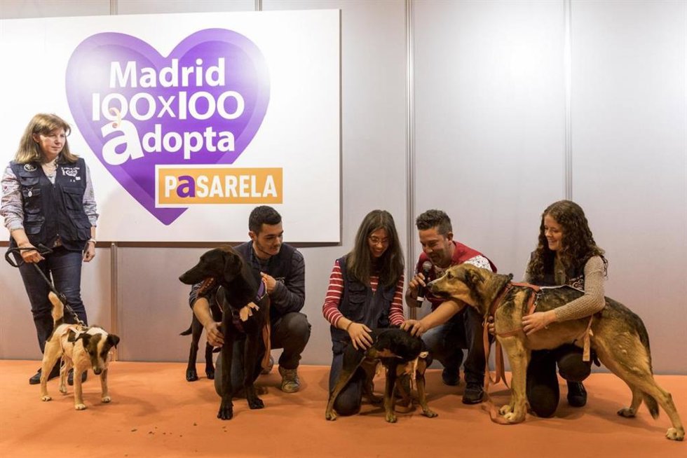 100X100mascota En Ifema Madrid