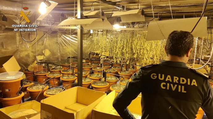 Vídeo de la noticia