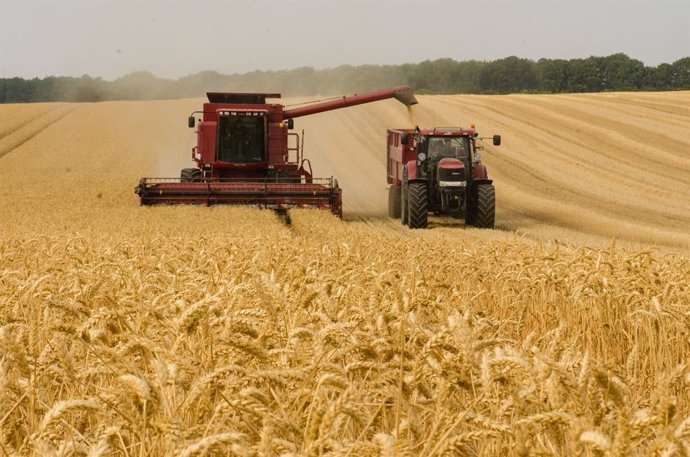 Archivo - Agricultor cosechando en el campo