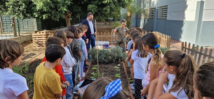 Nota De Prensa Tiro De Línea