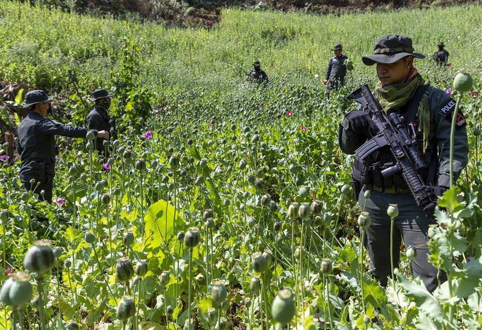 Archivo - Militares tailandeses en un campo de opio 