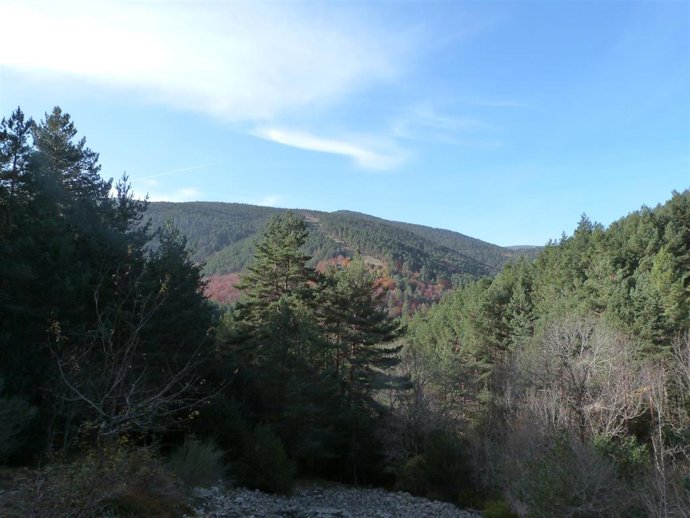 Archivo - Parque Natural de Sierra Cebollera, en La Rioja.