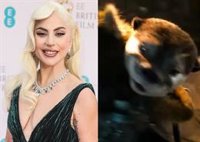 ¿Ha fichado Marvel a Lady Gaga para Guardianes de la Galaxia 3?