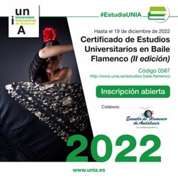 La UNIA acerca la formación en baile flamenco al resto del mundo a través de un título virtual