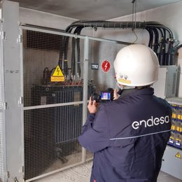 Un trabajador de Endesa.