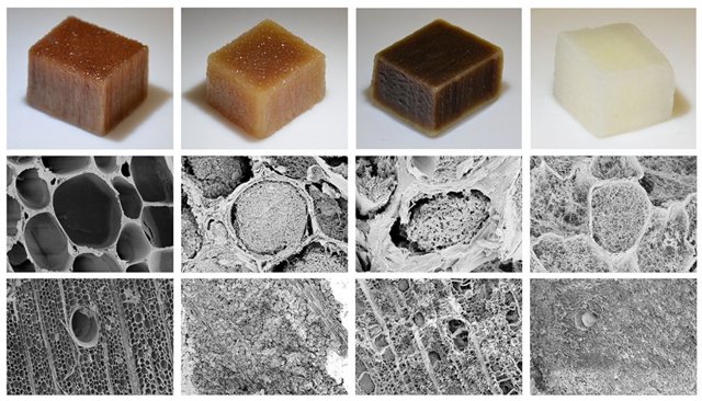 En el extremo izquierdo, se ve madera natural. Las tres piezas de madera de la derecha se han sometido a diferentes tipos de tratamiento que les dan mayor superficie y poros más pequeños, lo que permite un rápido transporte del agua a través del material