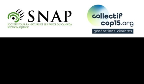 Comunicados Internacional